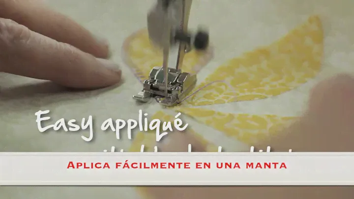 Tutorial de la BERNINA 550 haciendo aplicación